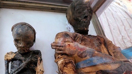 Xác ướp một phụ nữ và một cậu bé được trưng bày tại lăng mộ mới phát hiện ở Sohag, Ai Cập. Ảnh: REUTERS