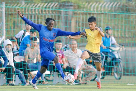 Giải bóng đá phủi sân 7 người Bulbal Cup Vĩnh Long 2019, thu hút nhiều cầu thủ nước ngoài.