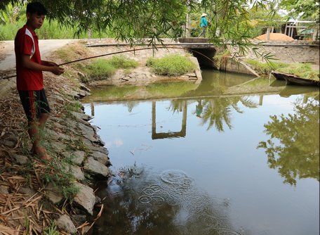 Cảnh mênh mông, yên ả bên trong đập Bờ Phấn (ấp Tích Phú, xã Tích Thiện) cũng là góp phần đảm bảo đủ nước cho mùa khô như hiện nay.