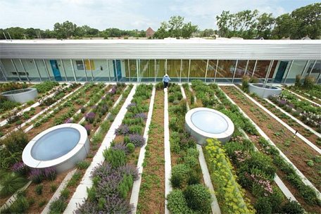 Mô hình nông nghiệp đô thị trên sân thượng của một tòa nhà.  Ảnh: echNewsWorld