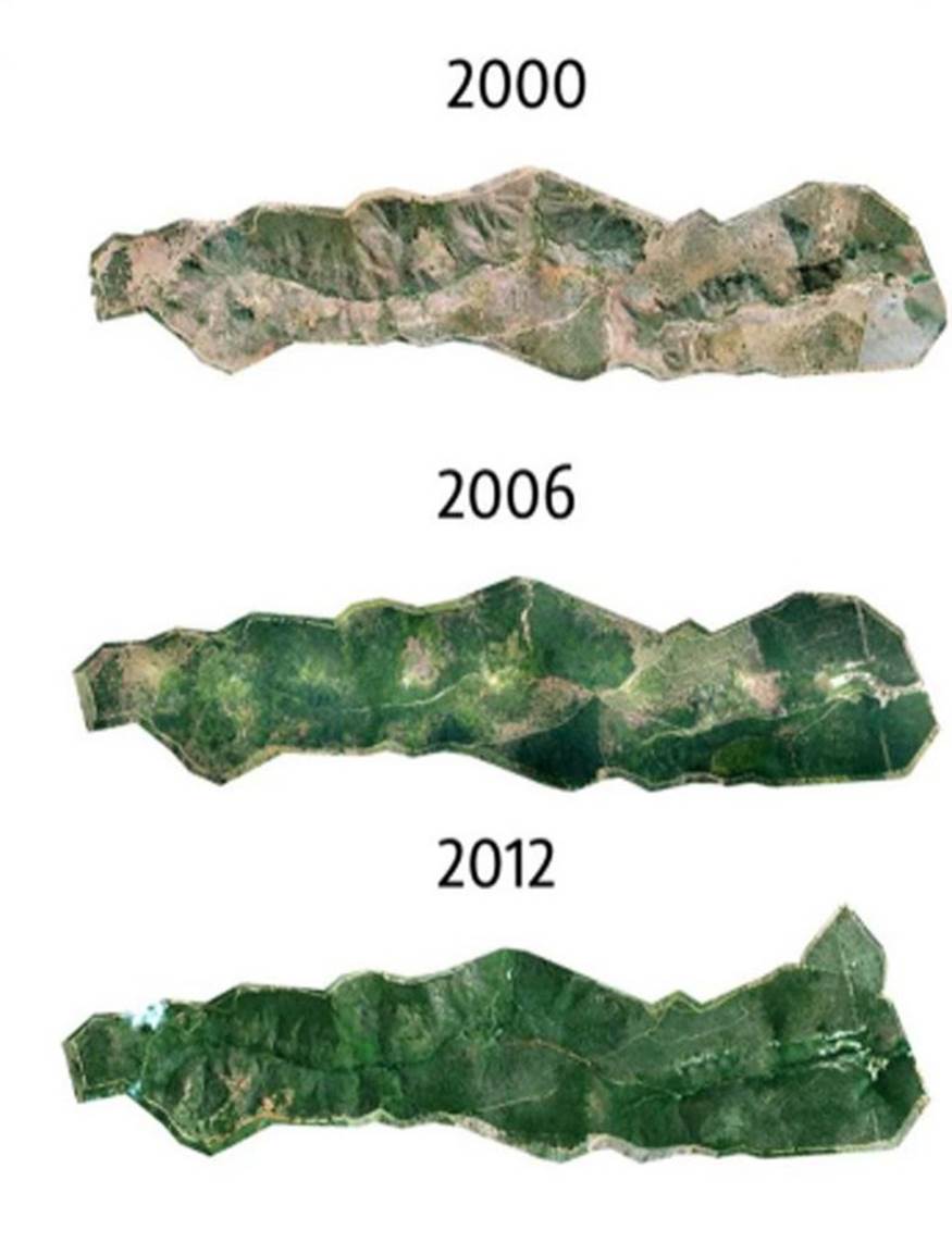 Từ năm 2000 đến năm 2012, khu rừng đã dần dần được 