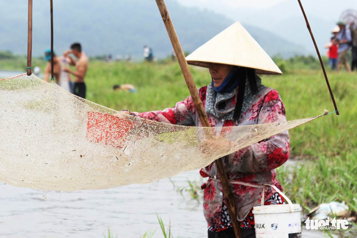 Các mẹ, các bà dùng lưới đánh bắt cá ở ven bờ - Ảnh: DOÃN HÒA