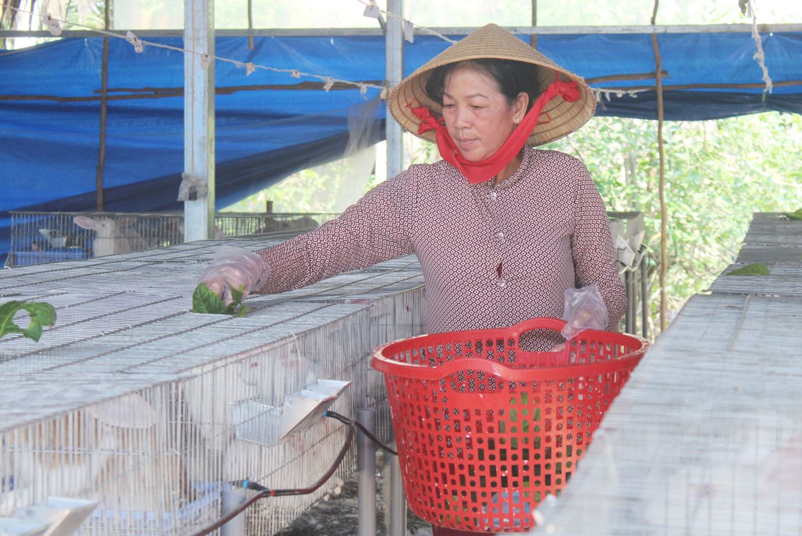 Nhờ nuôi thỏ theo mô hình khép kín, gia đình bà Nguyễn Thị Cưng vươn lên làm giàu