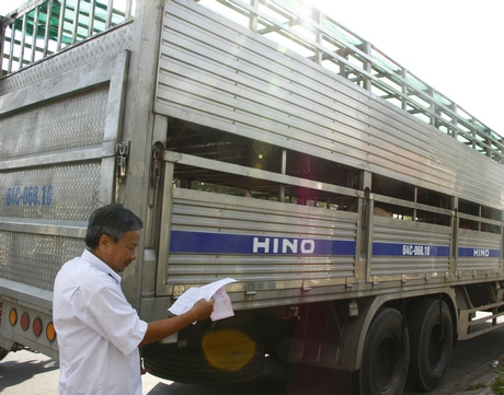 Công tác kiểm dịch vận chuyển heo, sản phẩm heo xuất nhập vào tỉnh Vĩnh Long được ngành chức năng đặc biệt quan tâm.