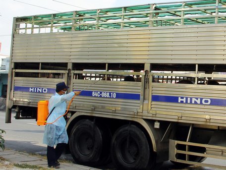 Các trạm kiểm dịch trên địa bàn tỉnh cũng tăng cường kiểm tra, kiểm soát, tiêu độc khử trùng các xe vận chuyển động vật ra vào tỉnh. 