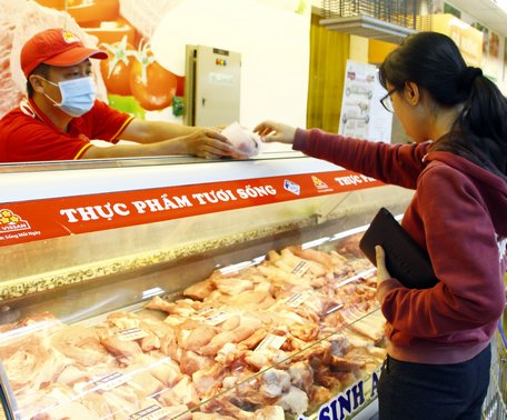 Người tiêu dùng không nên tẩy chay thịt heo mà nên mua thịt ở những nơi uy tín, chất lượng.