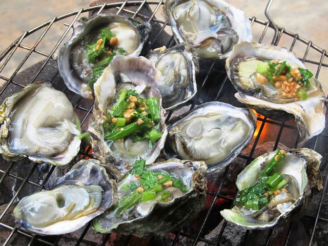 Hàu là loại đặc sản phổ biến có ở khắp các vùng biển Việt Nam. Món ăn không chỉ có hương vị thơm ngon, hấp dẫn mà còn bổ dưỡng. Theo các chuyên gia, trong hàu có chứa nhiều kẽm nên được coi là thực phẩm tăng cường sinh lý phái mạnh .