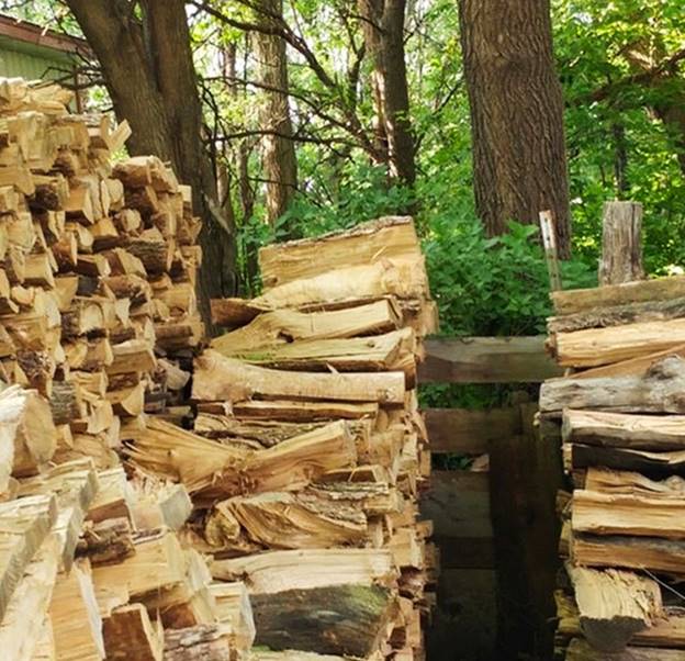 Bạn có phát hiện ra điều gì đặc biệt trong những đống gỗ này?