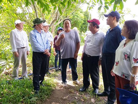 Phó bí thư Tỉnh ủy Trần Ngọc Tam (bìa trái) và đoàn chuyên gia đến tham quan, khảo sát tại điểm du lịch Bảy Thảo, xã Vĩnh Thành, huyện Chợ Lách.