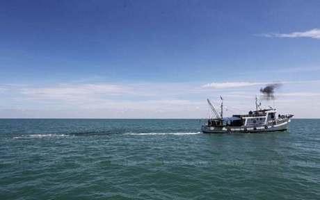 Thái-lan hạn chế đánh bắt cá tại Vịnh Thái-lan từ tháng 6 tới 9/2019. (Ảnh: Bangkok Post)