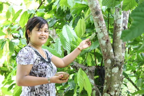 Gia đình chị Li Na trồng ca cao tham gia HTX sản xuất nông nghiệp của xã Tân Mỹ.
