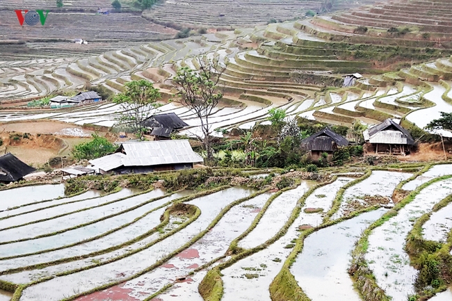 Theo những người nông dân vùng cao Lai Châu, làm ruộng ở địa phương phụ thuộc vào thời tiết. Khi những cơn mưa đầu tiên của mùa hạ trút xuống núi đồi, thì đó cũng là lúc bà con nông dân bắt đầu dẫn nước vào ruộng để đổ ải.