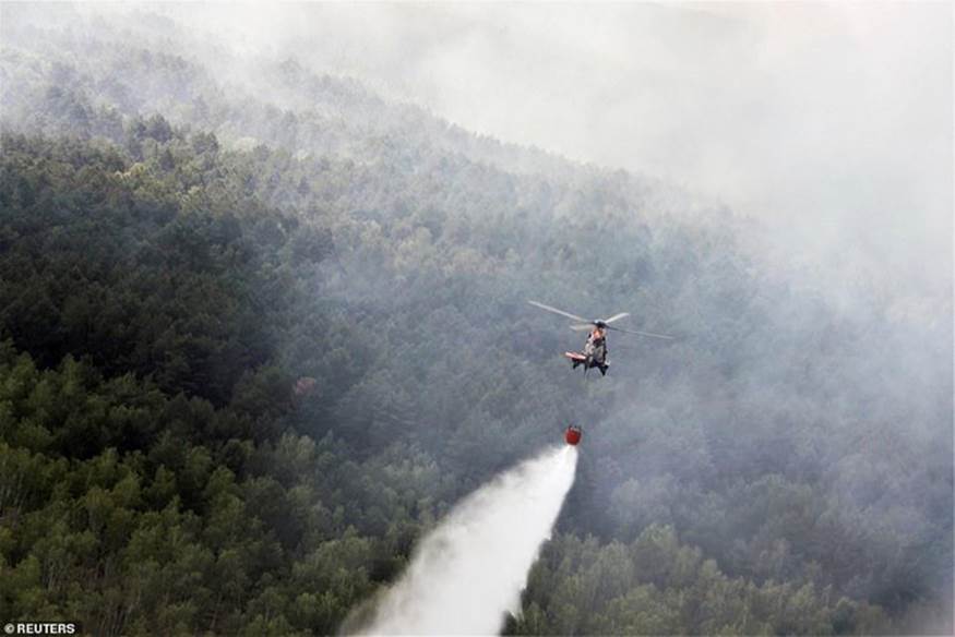 Cảnh sát Đức đã phải huy động cả trực thăng để tưới nước cho các rừng cây ở Lieberoser Heide - khu vực phía đông nước này trong những ngày nắng nóng để tránh nguy cơ cháy rừng. Ảnh: Reuters