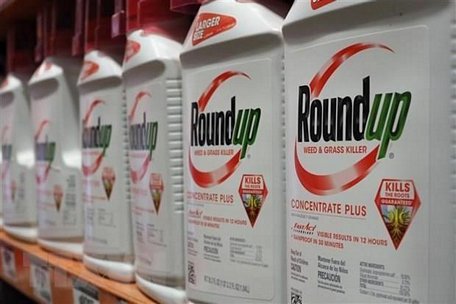 Thuốc diệt cỏ Roundup của Monsanto được bày bán tại cửa hàng ở Glendale, California, Mỹ. (Ảnh: AFP/TTXVN)