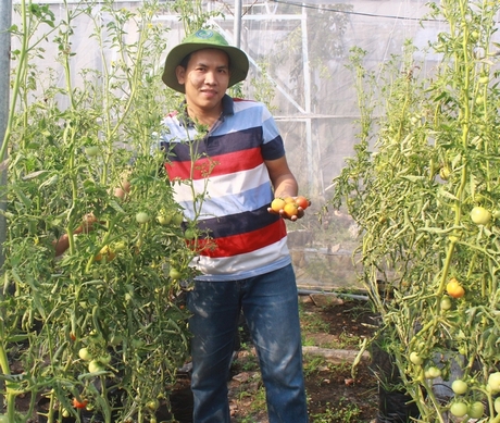 Anh Huỳnh Phú Lộc bên khu vườn công nghệ cao cho lợi nhuận hàng trăm triệu đồng/năm.