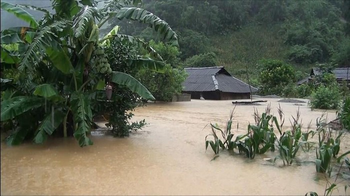 Một nhà dân ở huyện Vân Hồ, tỉnh Sơn La bị ngập sâu trong nước. (Ảnh: TTXVN)