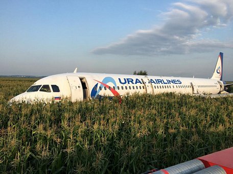 Chiếc máy bay của Hãng Ural Airlines may mắn hạ cánh an toàn xuống cánh đồng bắp gần sân bay Zhukovsky ngày 15/8. Ảnh: Reuters.