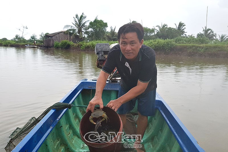 Niềm vui khi bắt được cá, tôm của anh Bùi Văn Thành (ấp Đất Biển, xã Phong Điền, huyện Trần Văn Thời).