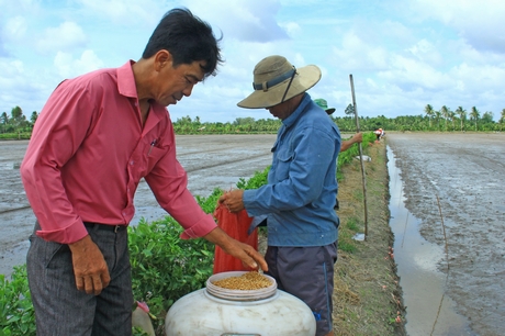 Để hỗ trợ HTX nông nghiệp phát triển theo hướng bền vững, tỉnh Vĩnh Long đã xác định nhiều giải pháp cụ thể.