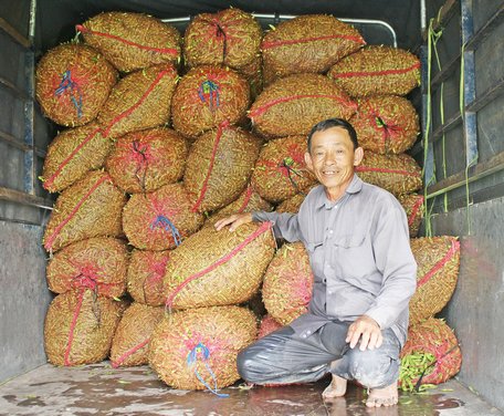 Đậu nành rau được ông Nguyễn Văn Tư đóng kiện đưa lên xe tải chuẩn bị giao hàng cho công ty.