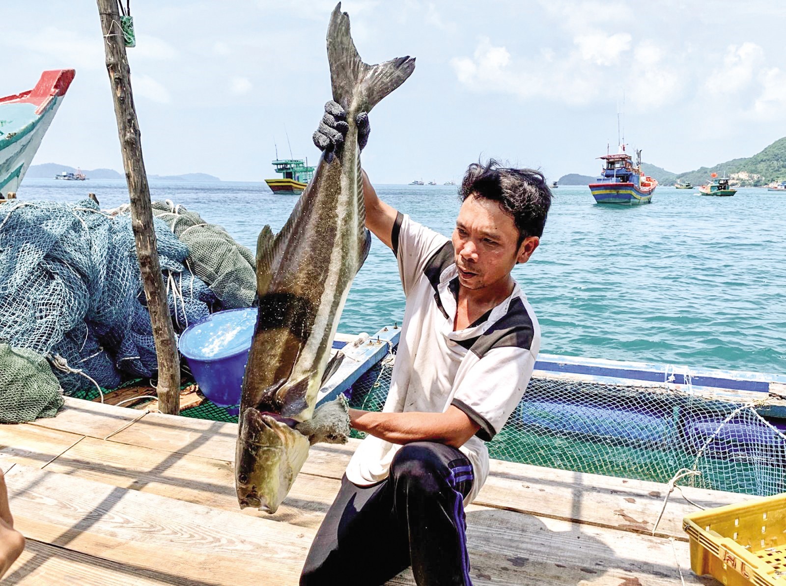 Anh Khang và thành quả sau 7 tháng nuôi cá bớp.