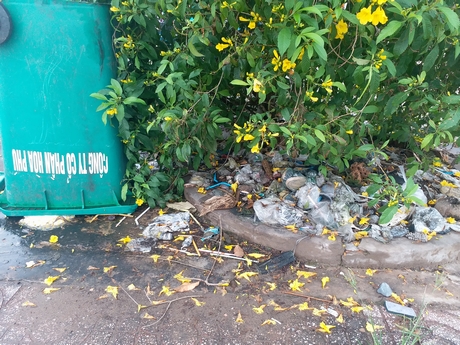 Thùng rác lật úp, rác bao quanh Khu công nghiệp Hòa Phú. Ảnh: VĨNH PHÚC