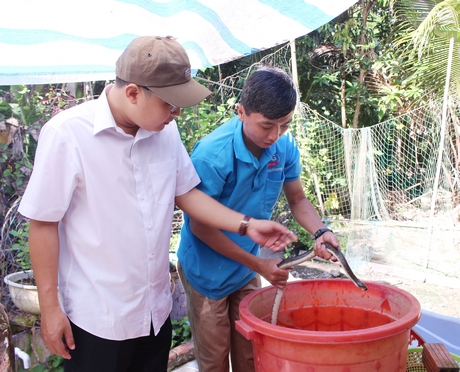 Anh Nguyễn Nhựt Quang (phải) cho biết rắn ri voi dễ nuôi mà giá lại cao.