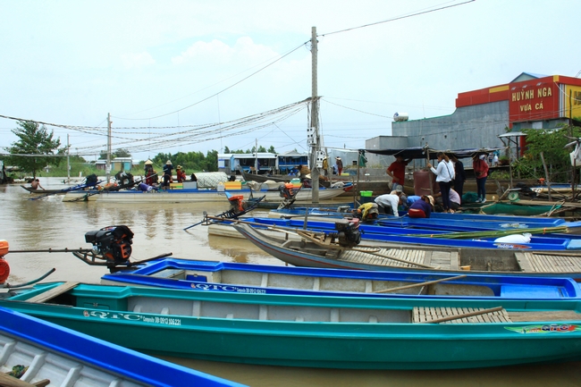 Dù vậy, chợ cá đồng Khánh An ở thượng nguồn huyện An Phú đã sôi động hơn hẳn khi nước đổ về.