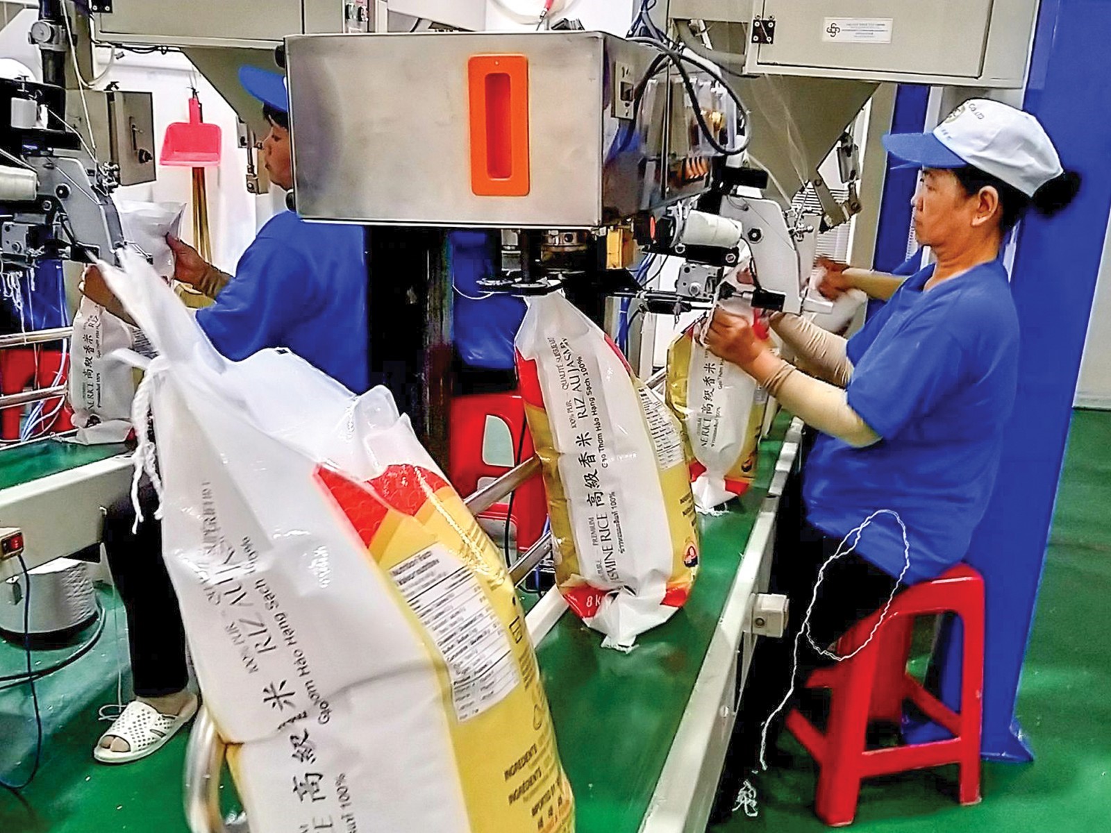 Dây chuyền đóng bao bì gạo xuất khẩu tại Công ty Cổ phần Nông nghiệp Công nghệ cao Trung An. Ảnh: MINH HUYỀN