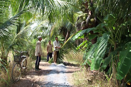 Anh Nguyễn Văn Tâm (thứ nhất từ phải qua) có 90 cây dừa, trong đó có 60 cây đang cho trái. Anh sẵn sàng đốn hạ cây khi Nhà nước có tiến hành làm đường.