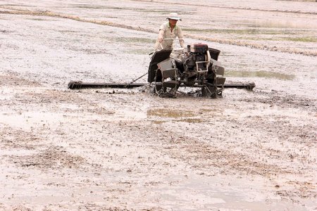  Lúa Đông Xuân 2019- 2020 đứng trước mối lo kép: lũ, triều cường đầu vụ và hạn, mặn vào mùa khô.