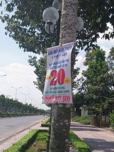 Hàng cây xanh trên đường Võ Văn Kiệt (Phường 9- TP Vĩnh Long) còn bị đóng đinh dù để treo quảng cáo.