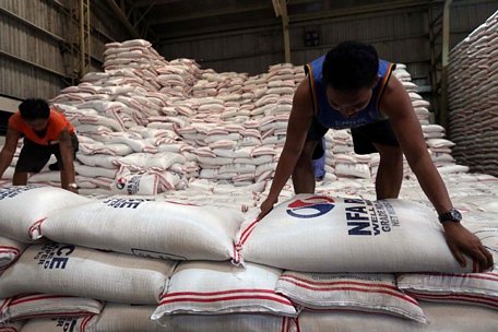 Philippines sẽ giảm nhập khẩu gạo trong năm tới. Ảnh: philstar.com