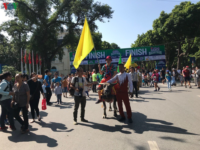 Lễ diễu hành và biểu diễn nghệ thuật xiếc trên tuyến phố đi bộ Hồ Gươm đã đem lại nhiều khoảnh khắc ấn tượng và thú vị trong ngày cuối tuần.
