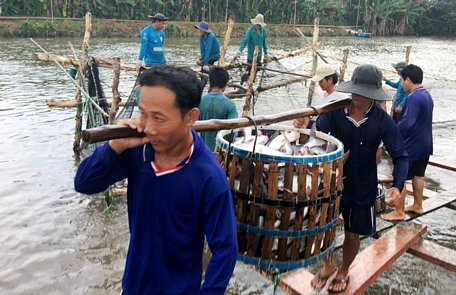 Nhiều thị trường xuất khẩu lớn vẫn tín nhiệm các sản phẩm thủy sản Việt Nam.