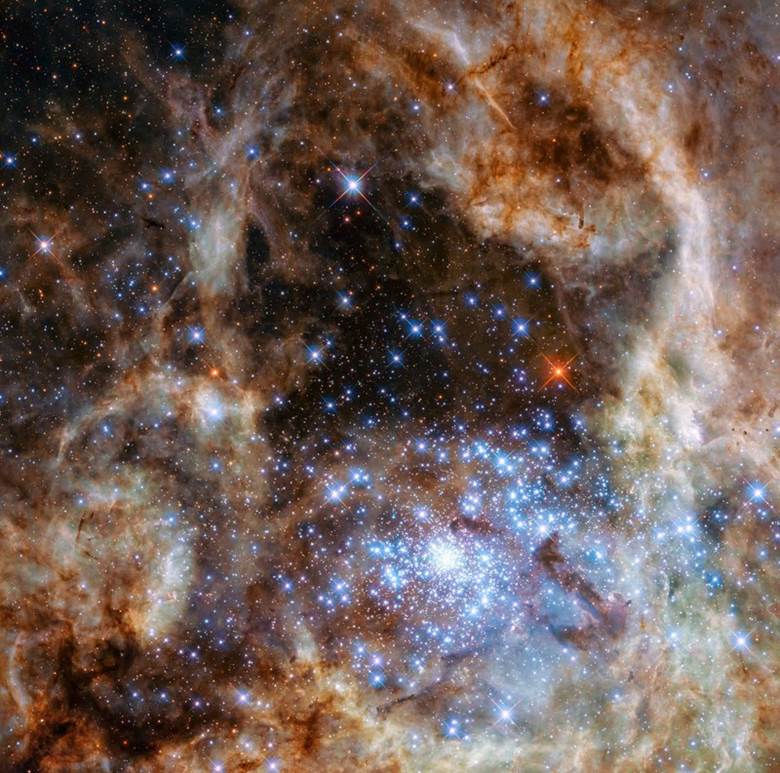 Tinh vân Tarantula có chứa hàng trăm ngôi sao trẻ, trong đó có ngôi sao nặng nhất vũ trụ từng được phát hiện cho tới nay.