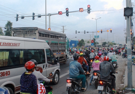 Tuân thủ nghiêm theo đèn tín hiệu là bảo đảm an toàn giao thông. Trong ảnh: Cột đèn tín hiệu trên QL1 gần KCN Hòa Phú.