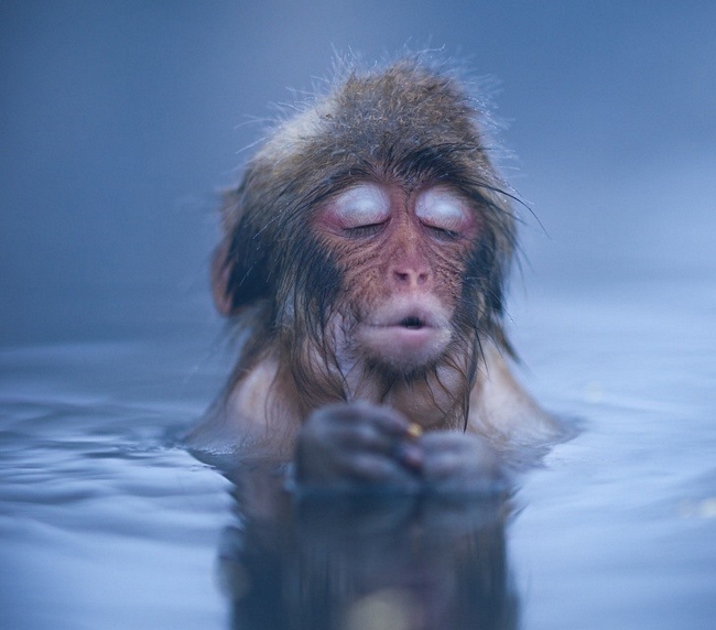 Nhắm mắt thư giãn tắm nước nóng xóa giảm căng thẳng nào. Ảnh: Getty Images