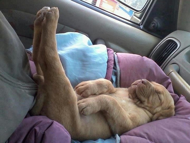Duỗi thẳng chân nằm nghỉ ngơi lát nào, tư thế này sẽ giúp bạn dễ ngủ hơn đấy! Ảnh: Reddit