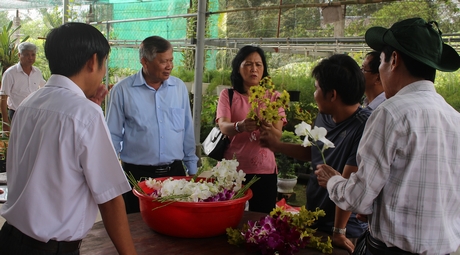 Qua 10 năm gắn bó với mô hình trồng lan, giúp gia đình ông Trương Văn Ân có nguồn thu ổn định.