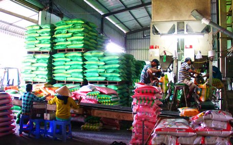 Xuất khẩu gạo 10 tháng năm 2019 ước đạt 5,56 triệu tấn và 2,43 tỷ USD.