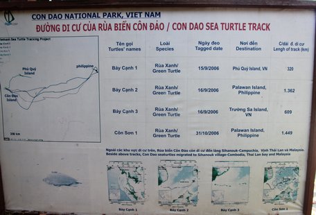 Bảng thông tin theo dõi đường di cư của rùa biển từ Côn Đảo.