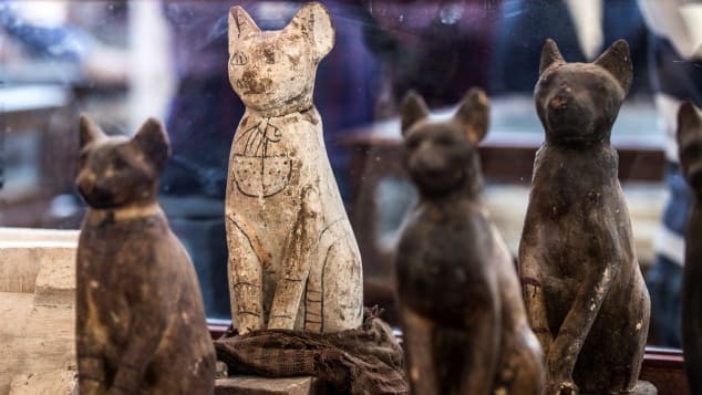Những bức tượng mèo được trưng bày sau cuộc khai quật tại nghĩa địa Saqqara, gần kim tự tháp Giza, phía nam Cairo, vào ngày 23/11. Ảnh: Getty Images