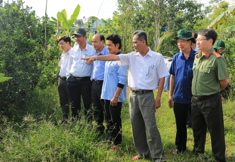 Đoàn giám sát của Tỉnh ủy tại vườn cam sành trồng trên đất lúa của anh Bùi Thanh Nhàn (xã Thới Hòa- Trà Ôn).