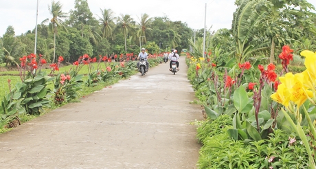 TX Bình Minh là một trong số các địa phương có trên 50% tuyến đường nông thôn trồng cây xanh- hoa.