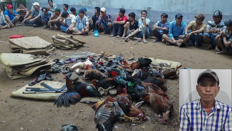 Nhóm người tham gia đá gà bị bắt quả tang ở xã Tân Hạnh- Long Hồ.