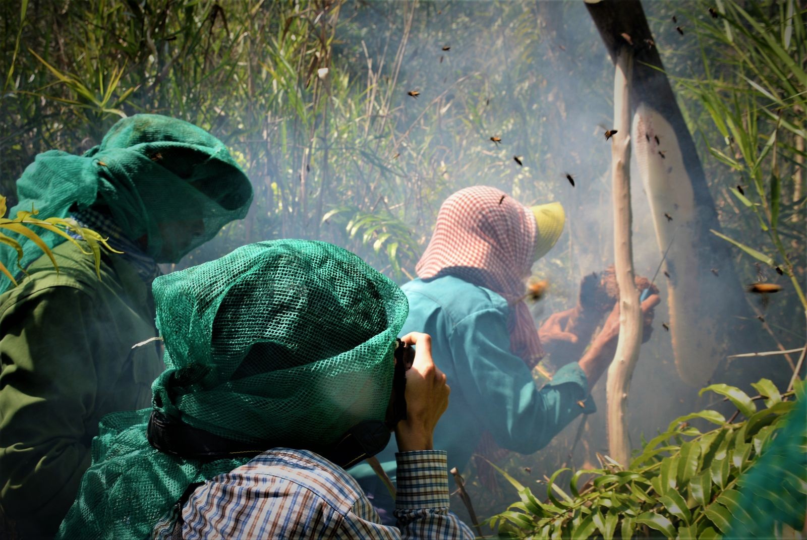Nghề gác kèo ong là nghề rất đặc trưng của người dân Cà Mau.