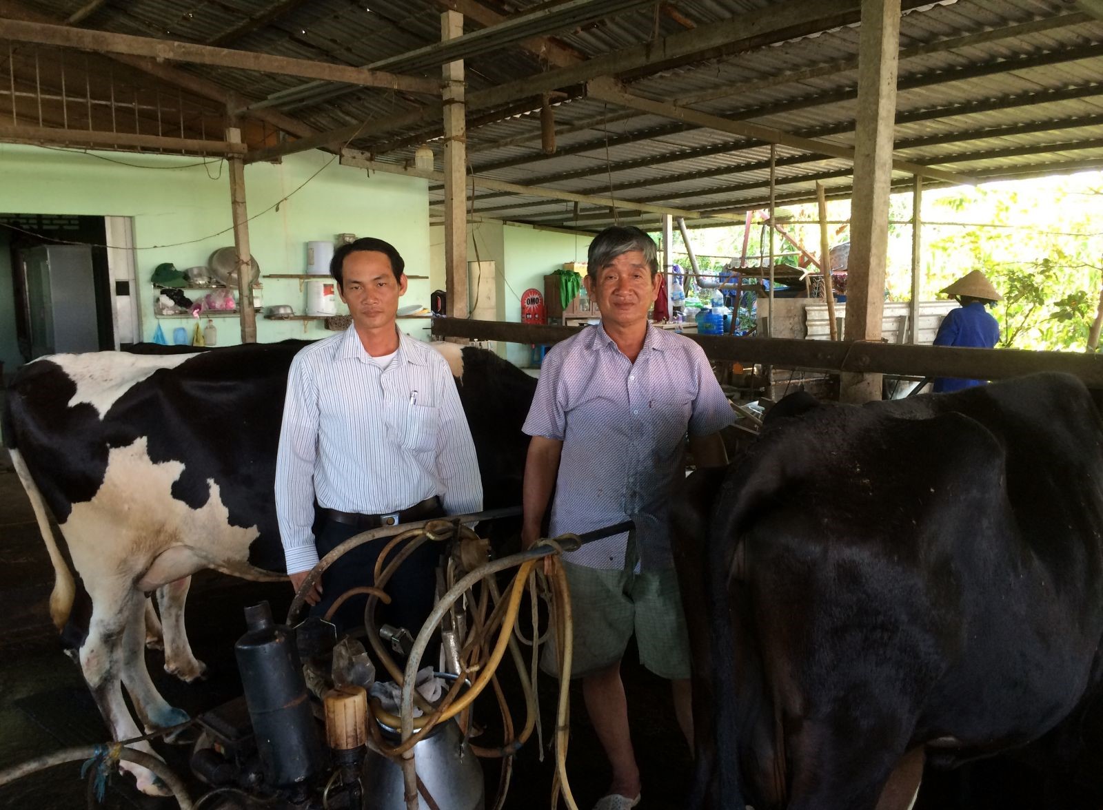 Ông Huỳnh Văn Việt (bên trái), Chủ tịch HND phường Hưng Thạnh, đến tham quan mô hình nuôi bò sữa của gia đình ông Lộc.