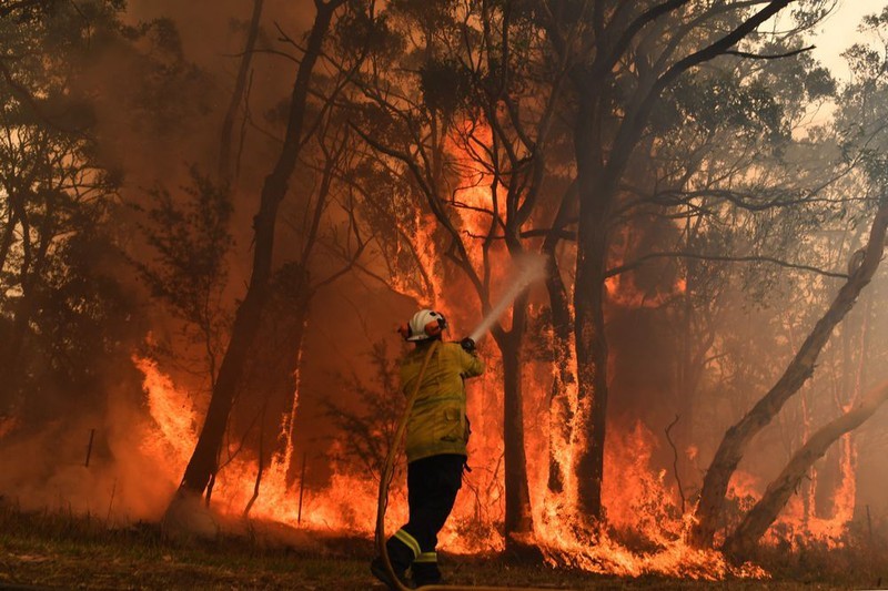 Cháy rừng ở Australia. Ảnh: Bloomberg.