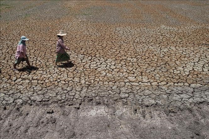 Một cánh đồng khô hạn ở tỉnh Suphanburi, Thái Lan. Ảnh: AFP/TTXVN